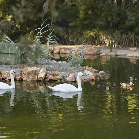 Airelles Chateau De La Messardiere 5* Saint-Tropez