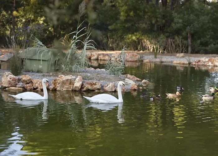 Airelles Chateau De La Messardiere 5* Saint-Tropez