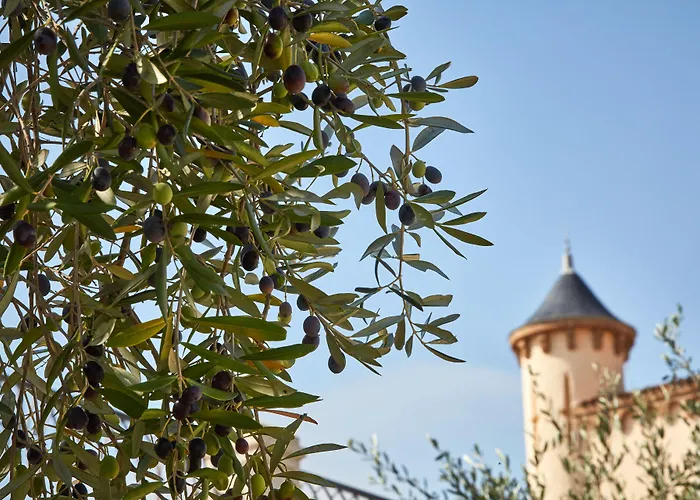 Airelles Chateau De La Messardiere